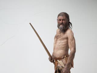 Ľadový muž Ötzi mal