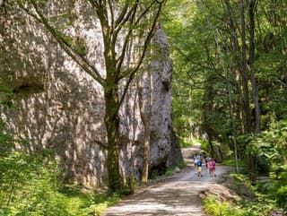 Pri vstupe do Zádielskej