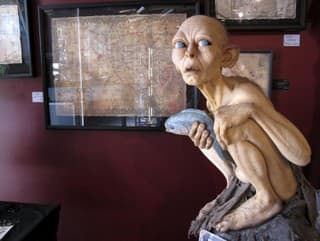 Evolúcia v akcii: Ako