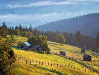 Bukovina