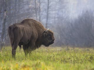 Objavte krásy poľskej prírody: