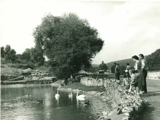 Bratislavská zoo oslavuje 65.