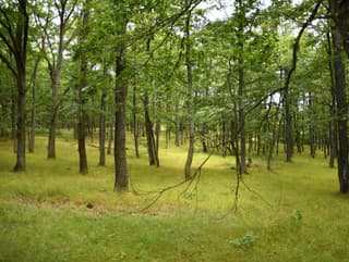 Záhadným Tribečom vedie nový