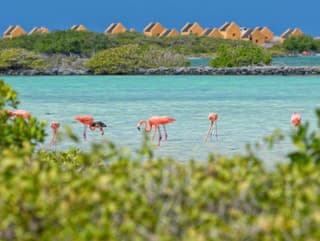 Bonaire