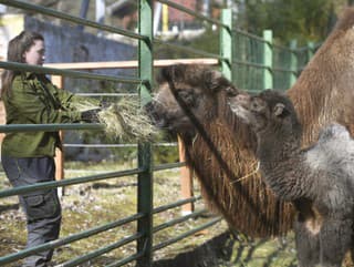 Zoologická záhrada v Olomouci