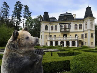 V areáli kaštieľa v