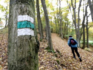 Na Slovensku máme tisíce