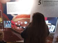 Stále expozícia vianočných ozdôb
