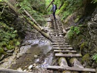 Zabudnite na medvede: V Slovenskom raji turistov ohrozuje omnoho zákernejší tvor
