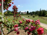 Arborétum Mlyňany