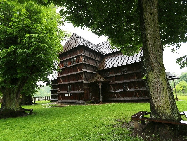 Kráľovský dub datovania