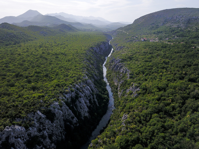 Cetina