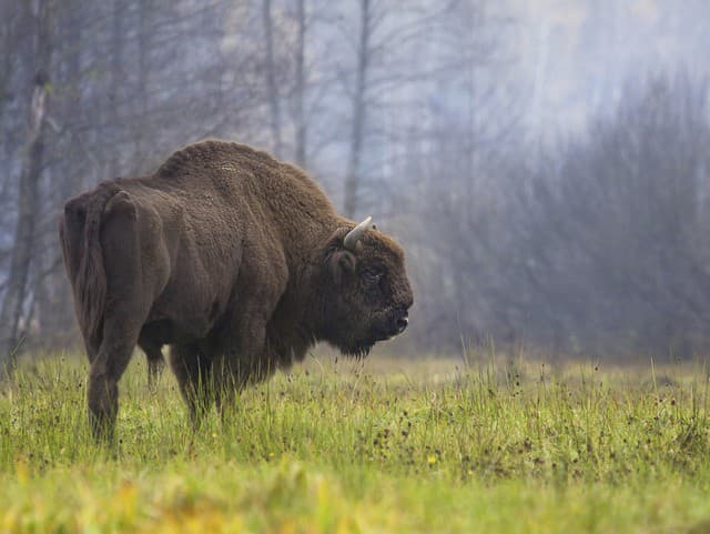 Objavte krásy poľskej prírody: