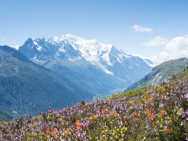 Koniec večného snehu: Mont