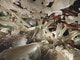 Najkrajšie kryštálové jaskyne sveta: