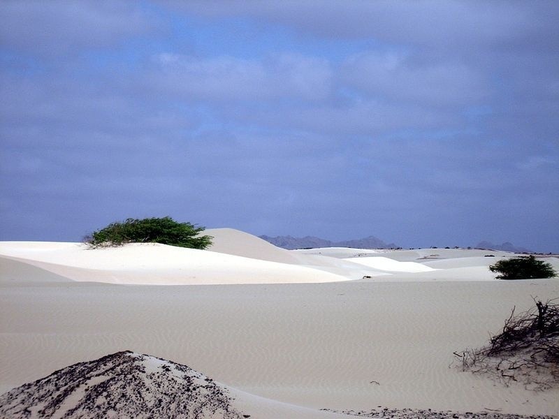 Púšť na ostrove Boa