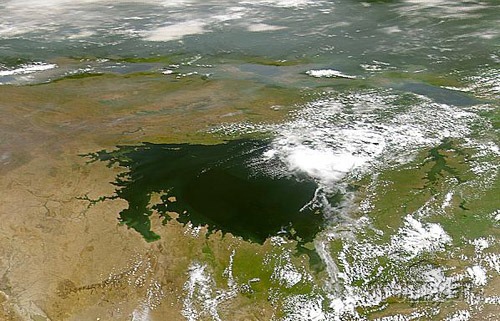 Viktóriino jazero, Východoafrická priekopová
