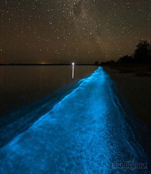 Bioluminescentný záliv, Portoriko
