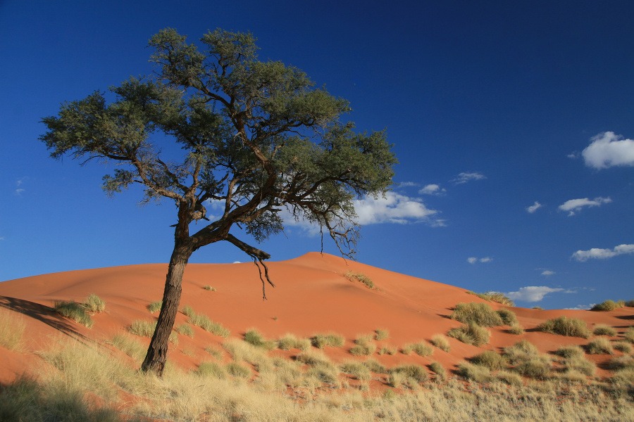 Prírodná rezervácia Namib Rand,