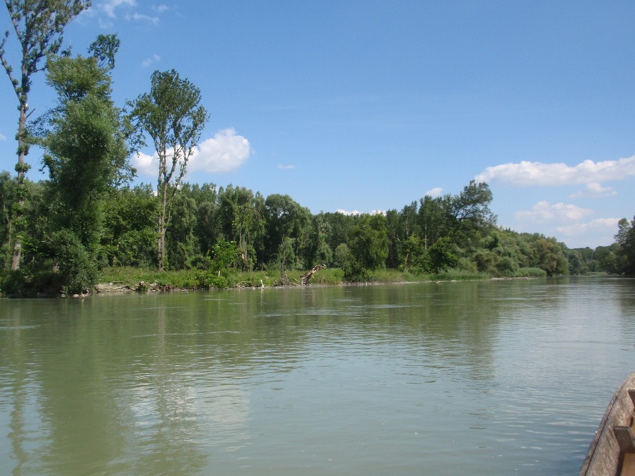 Rameno Dunaja pri Lipóte