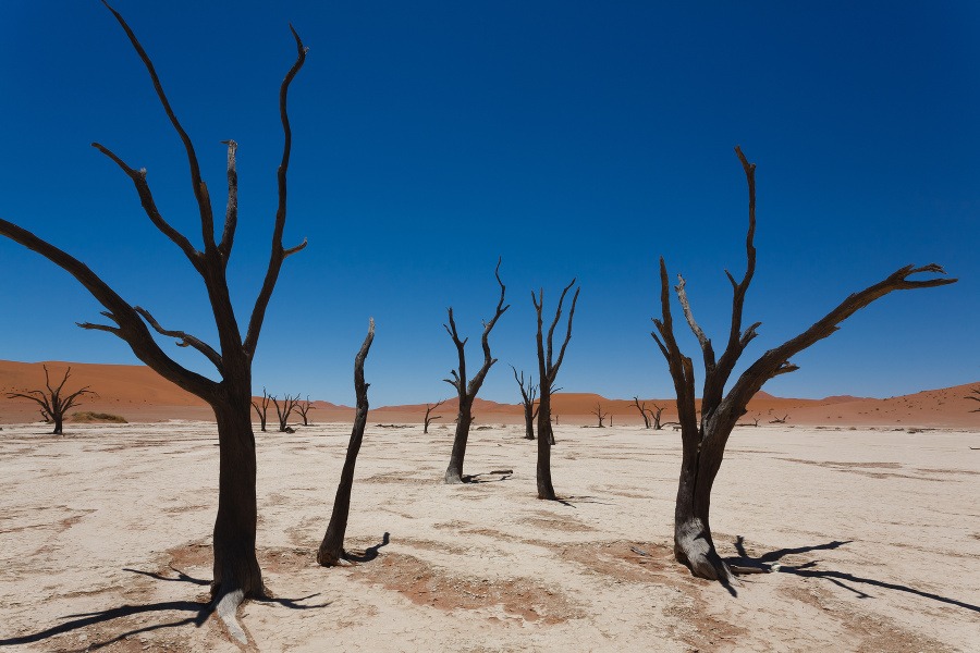 Deadvlei, Namíbia