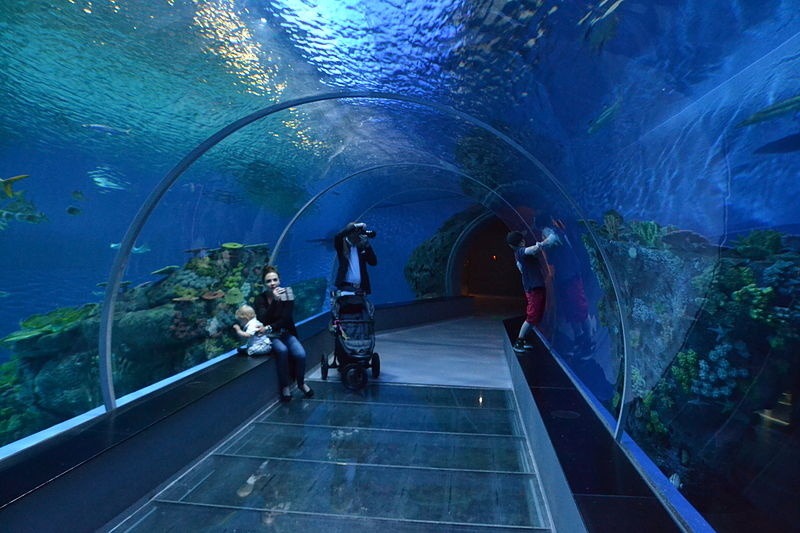 Národné dánske akvárium, Kodaň,