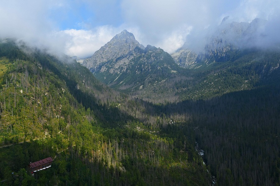 Lesy v okolí Hrebienka vo Vysokých Tatrách