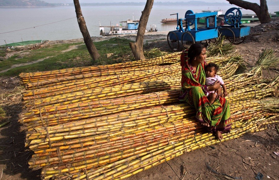 Indka so svojím dieťaťom sedí na zväzkoch cukrovej trstiny na trhu v indickom Gauhátí.
