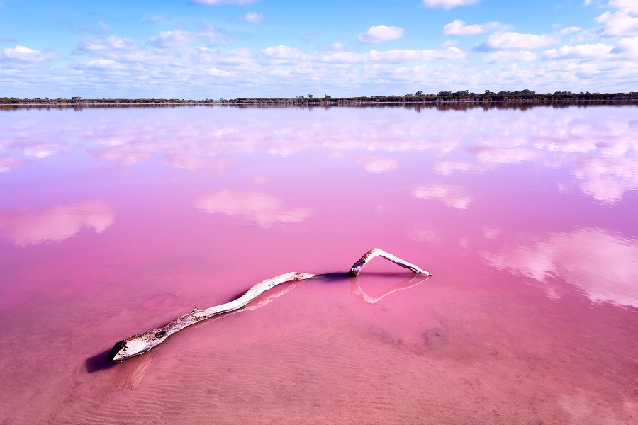 Ružové jazero Hillier, Austrália