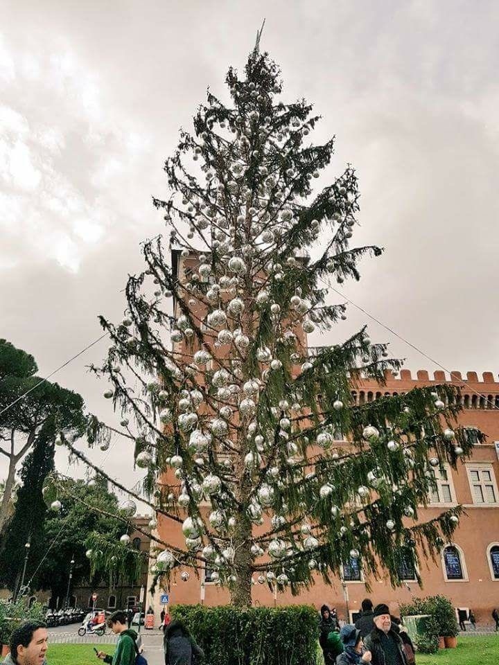 Metla roka: Vianočnému stromčeku