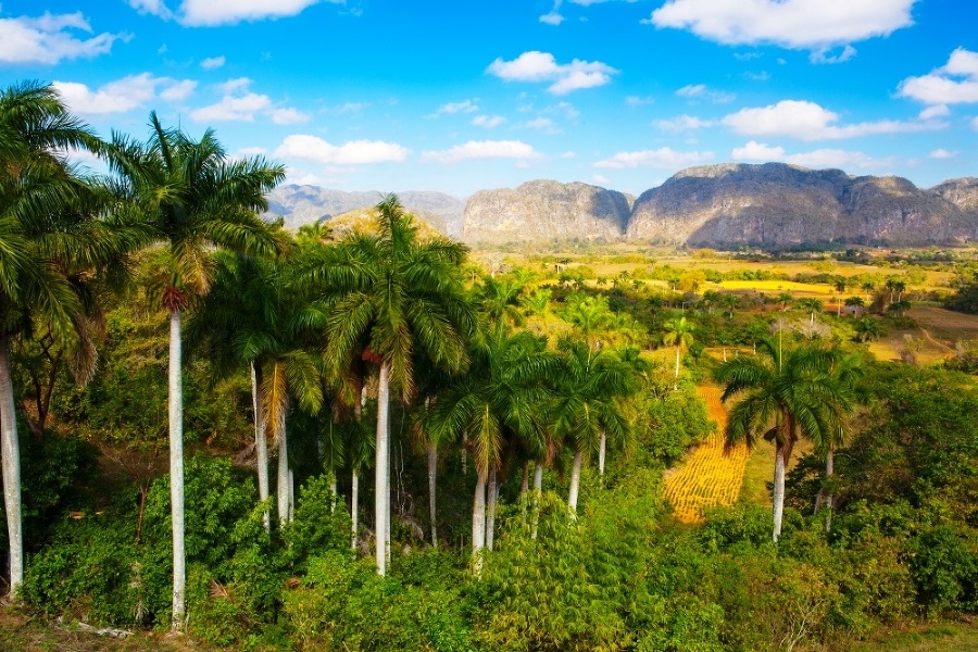 Údolie Vińales je prírodným skvostom Kuby.