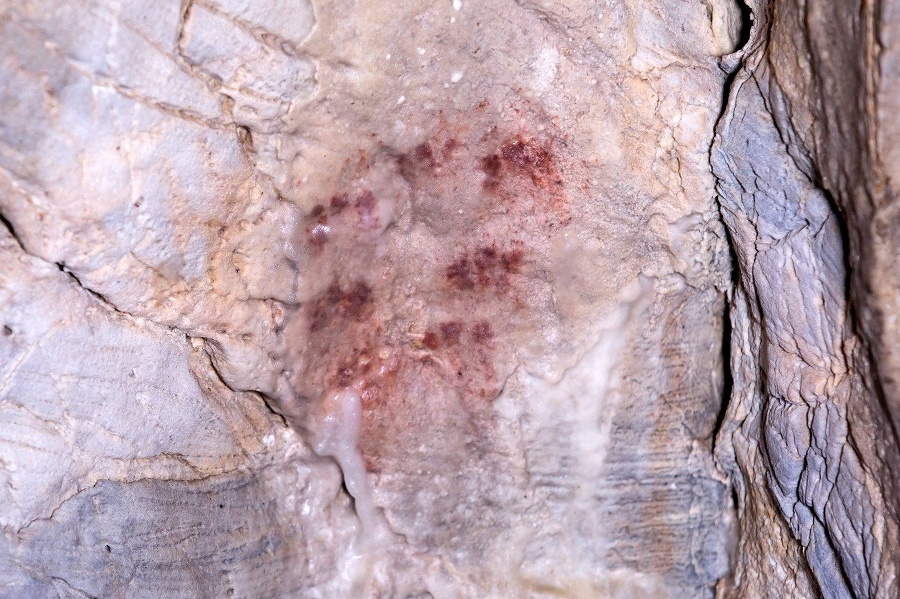 Detail maľby Ardales, ktorá má podľa vedcov 66 000 rokov. © Profimedia