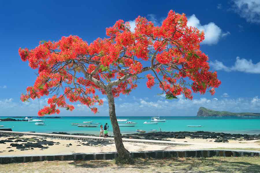 © Mauritius Tourism / LY Hoang Long