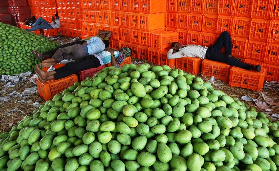 Indovia oddychujú vedľa máng na trhu v indickom Hajdarabáde. Mango je v Indii národným ovocím a krajina je najväčším svetovým producentom manga.