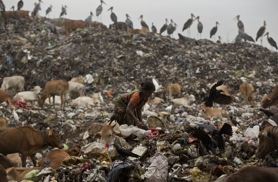Žena hľadá recyklovateľný odpad na predaj na smetisku v Gauhátí.