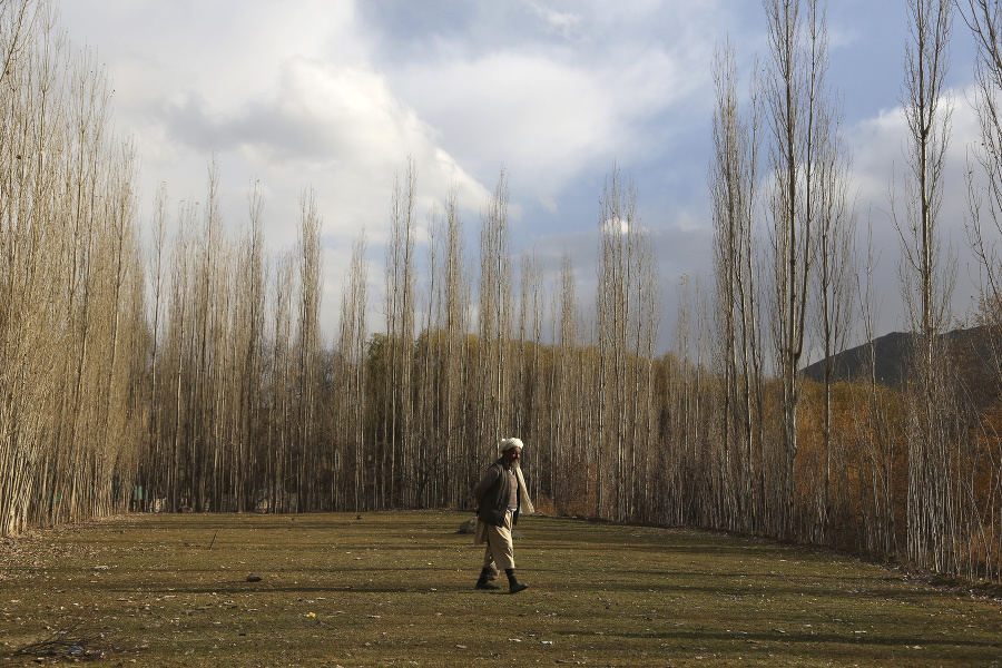 Afganský farmár vo svojej záhrade v Paghmane
