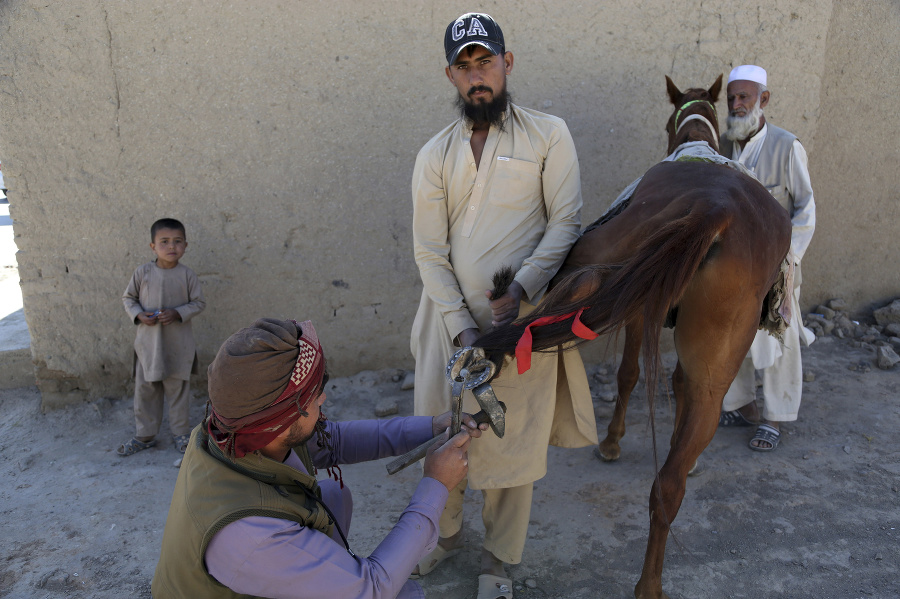 Podkúvanie koňa na predmestí Kábulu
