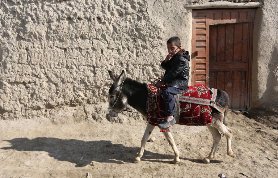 Chlapec na oslovi na predmestí Kábulu