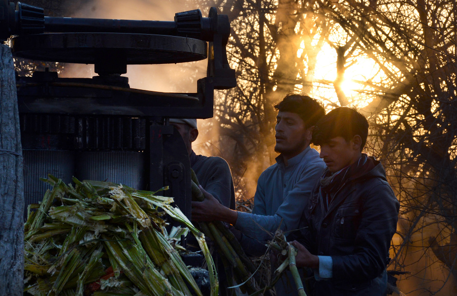 Robotníci vyrábajú šťavu z cukrovej trstiny v Jalalabade.