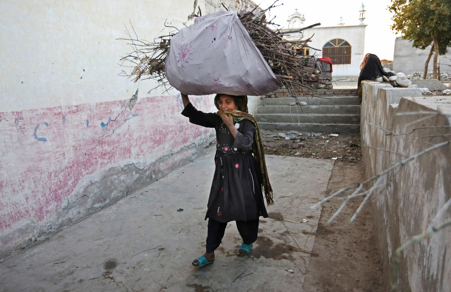 Dievča nesie domov drevo na kúrenie v Jalalabade.