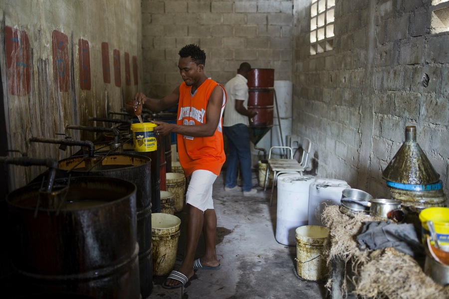 32-ročný Alsonce Jeune extrahuje olej z rastliny vetiver, využívaný pri výrobe voňaviek, v Les Cayes.