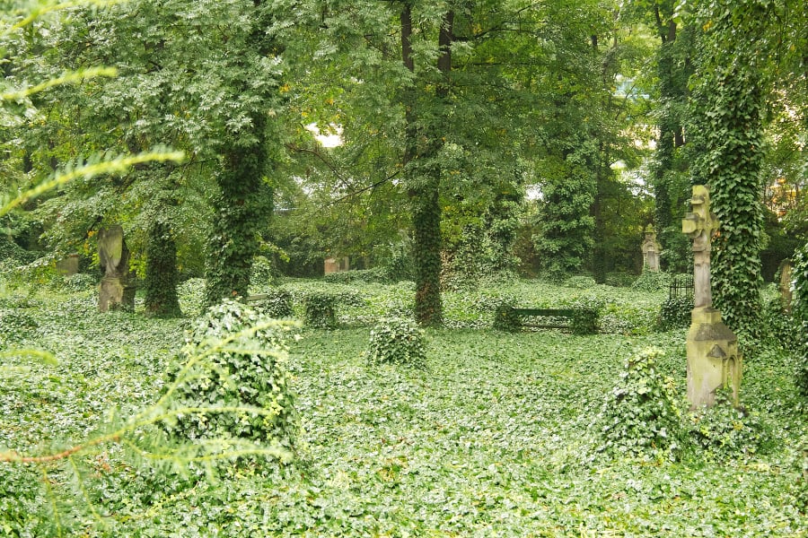 Jeden z pražských cintorínov