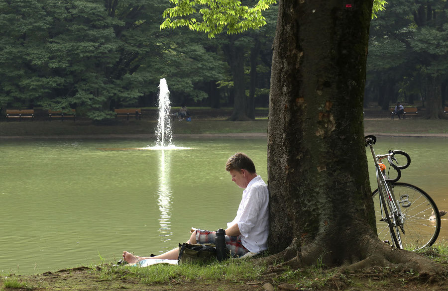 Muž odpočíva pri rybníku v parku Jojogi v Tokiu.