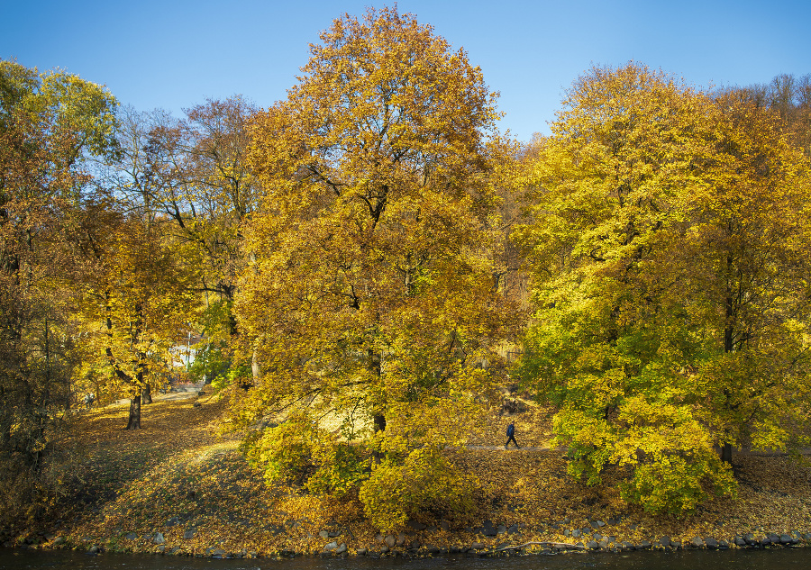 Jesenné farby v litovskom Vilniuse. © SITA/AP