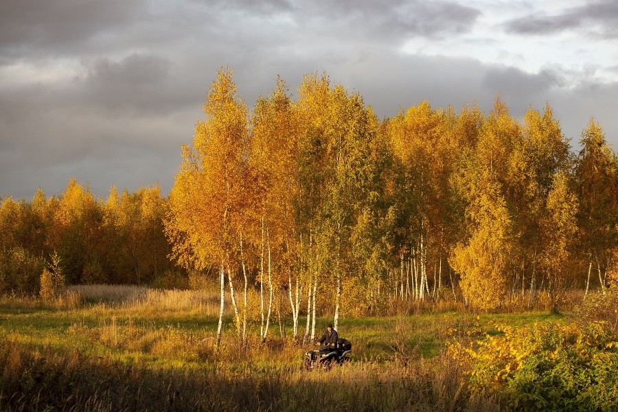 Jesenná atmosféra v ruskej dedine Peremilovo asi 65 km severne od Moskvy. © SITA/AP