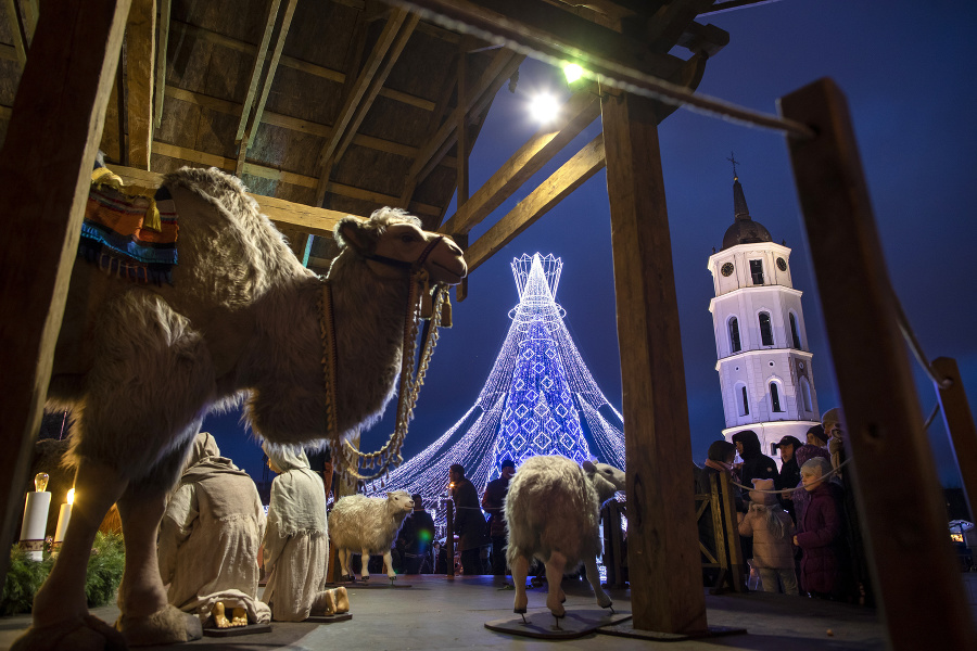 Vianočný betlehem, rozsvietený vianočný strom a zvonica na Katedrálnom námestí