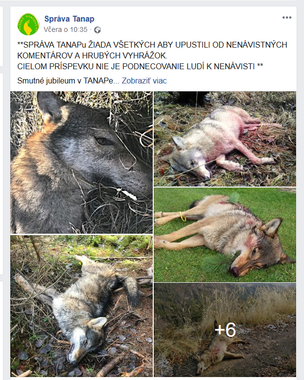 Petíciu proti odstrelu vlkov