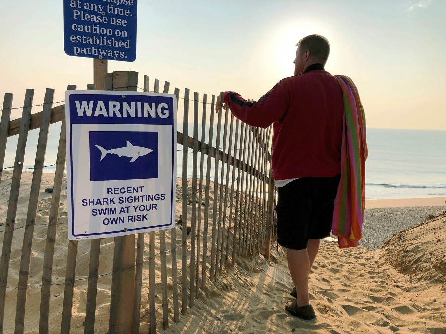 Varovanie pred žralokmi v Truro, Massachusetts