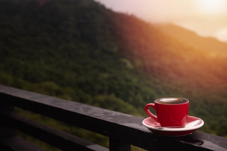 Kávu na úpätí hôr Blue Mountains pestuje asi 25 000 roľníkov, ktorí zberajú kávové čerešne ručne, vždy od januára do februára.