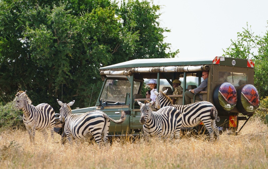 Krugerov národný park -